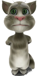 2010 Talking Tom Cat Meme Template