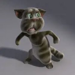 2010 Tom Cat Scared Meme Template