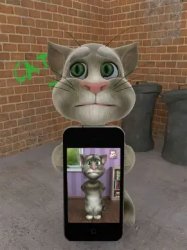 Talking Tom Cat (2010) with Phone Meme Template