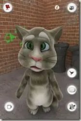 2010 Tom Cat Dizzy Meme Template