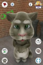 2010 Talking Tom Cat Tummy Ache Meme Template