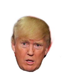 Confused Trump Meme Template