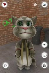 2010 Tom Cat symbols Meme Template