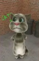 Tom Cat 2010 Worried Meme Template