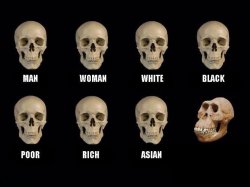 Comparison Meme Template