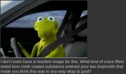 I don't even have a reaction image for this Meme Template