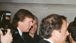 Epstein looking at Trump Meme Template