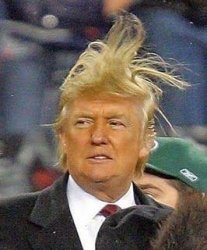 Trump Hair Meme Template