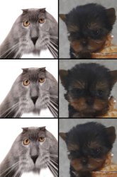 Oberezhnometanovets and Krasyvko Meme Template