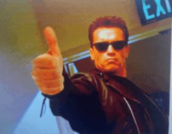 Arnold thumbs up Meme Template