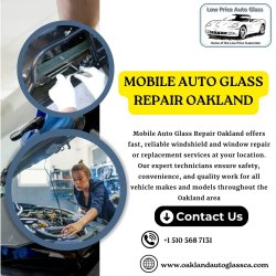 Mobile Auto Glass Repair Oakland Meme Template