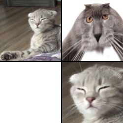 Sesysirerere and Oberezhnometanovets Meme Template