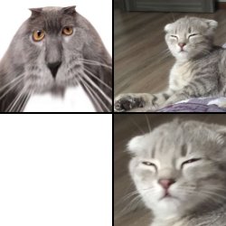 Oberezhnometanovets and Sesysirerere Meme Template