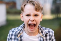 Angry boy Meme Template