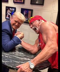 Hulkster Meme Template