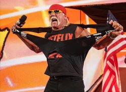 Hulk Hogan Meme Template