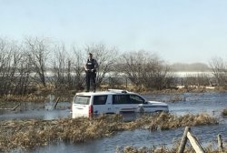 Cop on car in river Meme Template