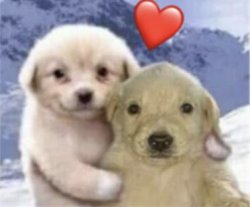 dog hugging a dog Meme Template
