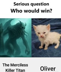 Who would win? Meme Template