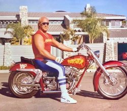 hulkster hulk hogan on hog motorcycle harley Meme Template