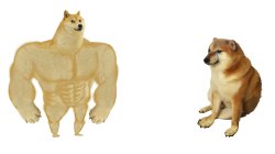 Meme dogs Meme Template
