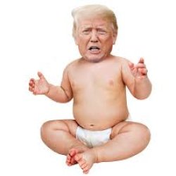 Baby Trump Meme Template