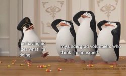 Funny penguins Meme Template