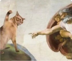 Unimpressed cat and God by Michelangelo Meme Template