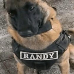 Randy Meme Template