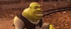 Crazy Shrek Meme Template