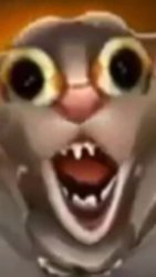 Talking Tom horror Meme Template