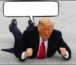 Angry Trump Meme Template