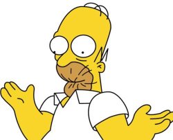 Homer Meme Template