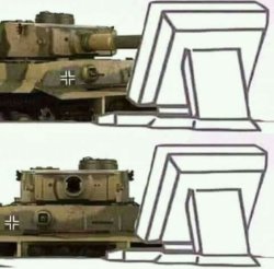 Tiger on the Internet Meme Template