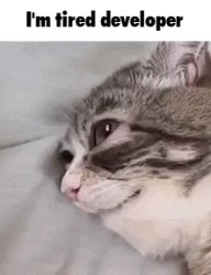 tired cat Meme Template