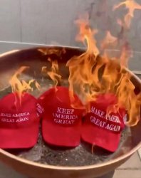 Trumpster Fire Meme Template