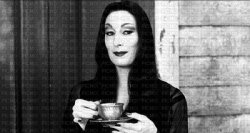 Morticia Adams Meme Template