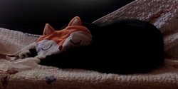U CANNOT SEE DON'T LOOK AT ME KITTY Meme Template