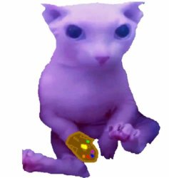 Bingus Thanos Meme Template