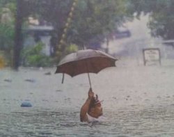 Flood Meme Template