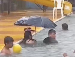 pool umbrella Meme Template