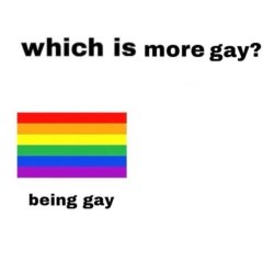 What's more gay Meme Template