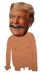 Nude Donald Trump - South Park - Baby Dick Meme Template