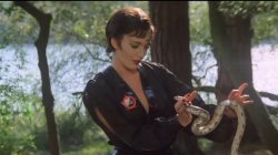 Ursa bit by snake Meme Template
