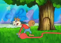 Us Squirrels Sure Is Stupid Meme Template