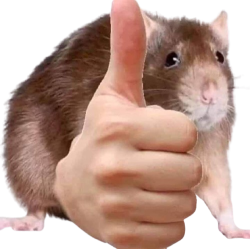 Thumbs up skaven Meme Template