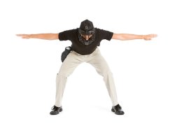 Baseball Safe Meme Template