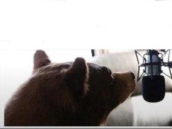 Bear rapping Meme Template
