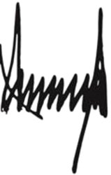 Donald Trump signature TRUMP Meme Template