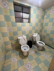 Dueling toilets Meme Template